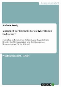 Warum ist der Fixpunkt für die KlientInnen bedeutsam? - Stefanie Erwig - E-Book
