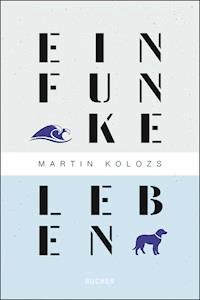 Ein Funke Leben - Martin Kolozs - E-Book