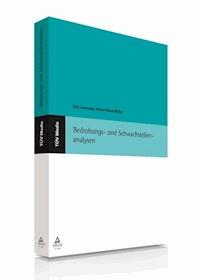 Bedrohungs- und Schwachstellenanalysen - Dirk Loomanns - E-Book