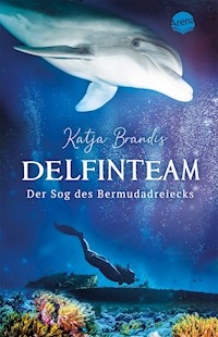 DelfinTeam (2). Der Sog des Bermudadreiecks - Katja Brandis - E-Book