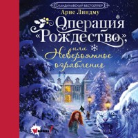 Операция "Рождество", или Невероятное ограбление - Арне Линдму - Hörbuch