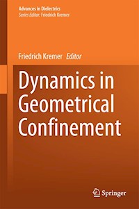 Dynamics in Geometrical Confinement -  - E-Book