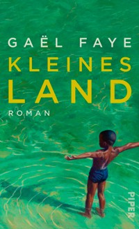 Kleines Land - Gaël Faye - E-Book