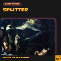 Splitter - Peter Patzak - Hörbuch