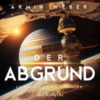 Der Abgrund - Armin Weber - Hörbuch