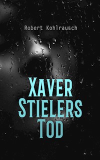 Xaver Stielers Tod - Robert Kohlrausch - E-Book