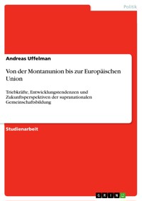 Von der Montanunion bis zur Europäischen Union - Andreas Uffelman - E-Book