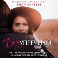 Безупречный - Элси Сильвер - Hörbuch