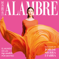 Las chicas de alambre - Jordi Sierra i Fabra - Hörbuch