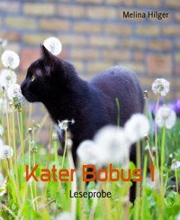 Kater Bobus 1 - Melina Hilger - kostenlos E-Book