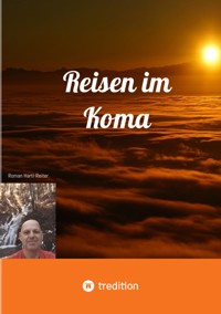 Reisen im Koma - Roman Hartl-Reiter - E-Book