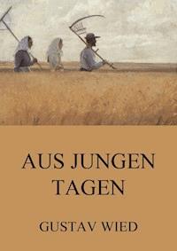 Aus jungen Tagen - Gustav Wied - E-Book