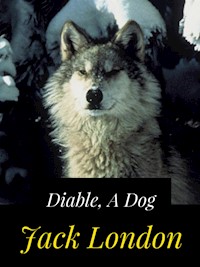 Diable, A Dog - Jack  London - E-Book