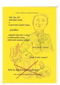 jak vite ze zabránit rymé - Sándor Keszthelyi - E-Book
