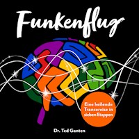 Funkenflug - Dr. Ted Ganten - Hörbuch