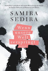 Wenn unsere Welt zerspringt - Samira Sedira - E-Book