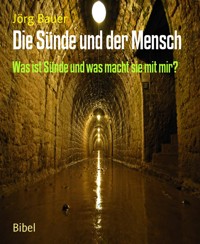 Die Sünde und der Mensch - Jörg Bauer - kostenlos E-Book