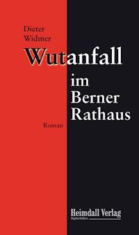 Wutanfall im Berner Rathaus - Dieter Widmer - E-Book