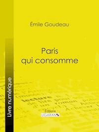 Paris qui consomme - Émile Goudeau - E-Book