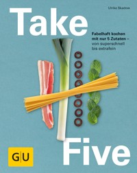 Take Five - Ulrike Skadow - E-Book