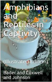 Amphibians and Reptiles in Captivity - Tom R. Johnson - E-Book