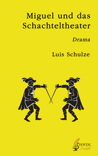Miguel und das Schachteltheater - Luis Schulze - E-Book