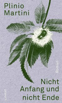 Nicht Anfang und nicht Ende - Plinio Martini - E-Book