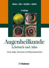 Augenheilkunde -  - E-Book