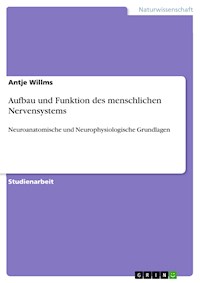 Aufbau und Funktion des menschlichen Nervensystems - Antje Willms - E-Book