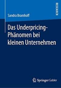 Das Underpricing-Phänomen bei kleinen Unternehmen - Sandra Bramhoff - E-Book