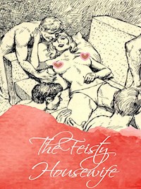 The Feisty Housewife - George Willson - E-Book