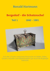 Bergedorf - die Schatzsuche! - Ronald Hartmann - E-Book