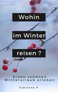 Wohin im Winter reisen ? - Fabienne P. - E-Book