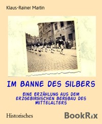 Im Banne des Silbers - Klaus-Rainer Martin - E-Book