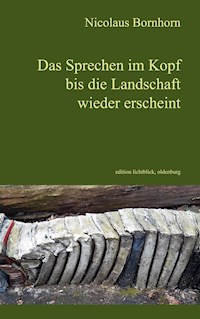 Das Sprechen im Kopf bis die Landschaft wieder erscheint - Nicolaus Bornhorn - E-Book