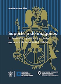 Superficie de imágenes - Adrián Acosta Silva - E-Book