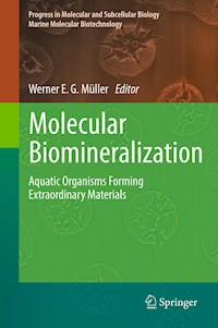 Molecular Biomineralization -  - E-Book