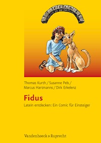 Fidus – Schullizenz - Thomas Kurth - E-Book