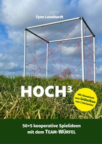 Hoch³ - Fynn Leonhardt - E-Book