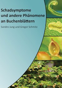 Schadsymptome und andere Phänomene an Buchenblättern - Sandro Jung - E-Book