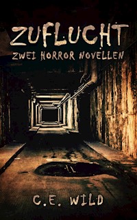 Zuflucht - Christoph Elias Wild - E-Book