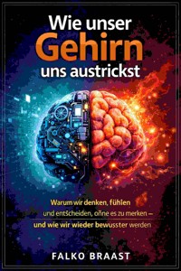 Wie unser Gehirn uns austrickst - Falko Braast - E-Book