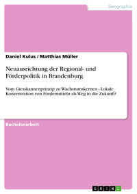 Neuausrichtung der Regional- und Förderpolitik in Brandenburg - Daniel Kulus - E-Book