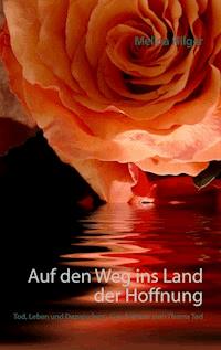Auf den Weg ins Land der Hoffnung - Melina Hilger - E-Book