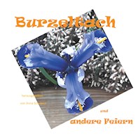 Burzeltach und andere Feiern - Anna Schubert - E-Book
