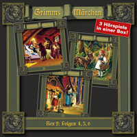 Grimms Märchen, Box 2: Folgen 4, 5, 6 - Brüder Grimm - Hörbuch
