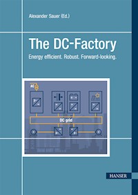 The DC-Factory - Alexander Sauer - E-Book