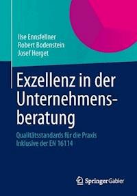 Exzellenz in der Unternehmensberatung - Ilse Ennsfellner - E-Book