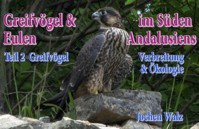 Greifvögel und Eulen im Süden Andalusiens Teil 2 Greifvögel - Jochen Walz - E-Book