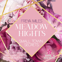 Meadow Hights: Small Town Secrets - New York Gentlemen, Band 5 (ungekürzt) - Freya Miles - Hörbuch